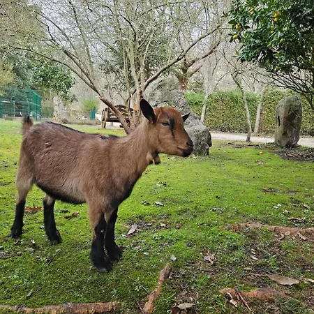 Camping Rural Ria De Arosa 2