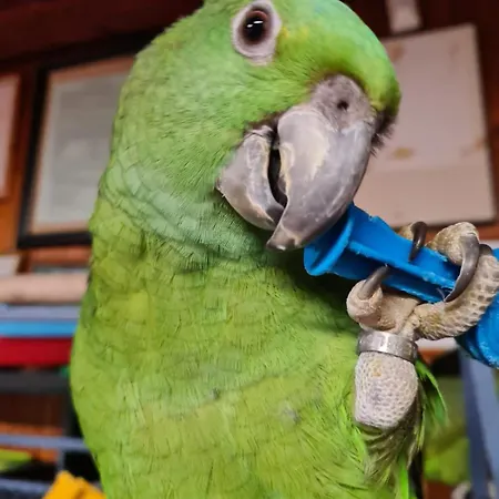 Rural Ria De Arosa 2 Camping Ribeira