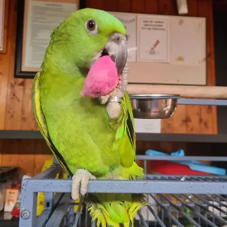 Rural Ria De Arosa 2