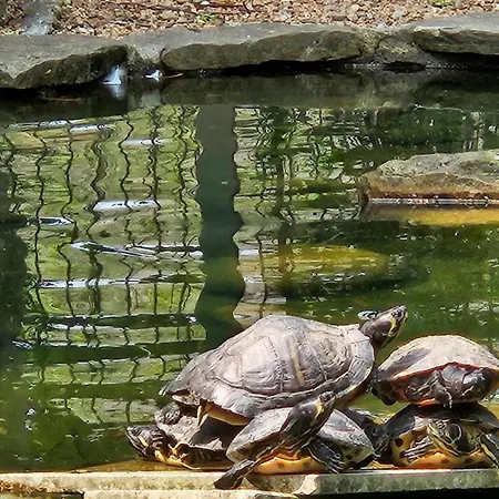 Rural Ria De Arosa 2 2*