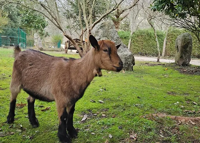 Κάμπινγκ Rural Ria De Arosa 2