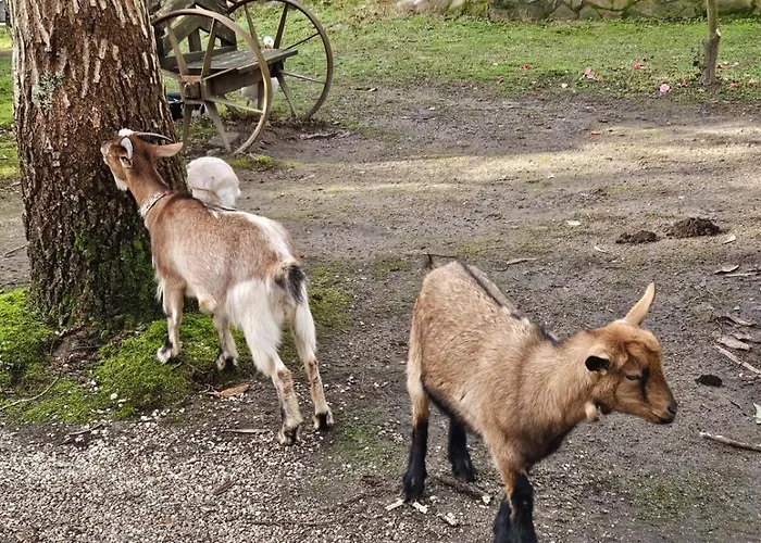 Rural Ria De Arosa 2 Кемпинг Рибейра