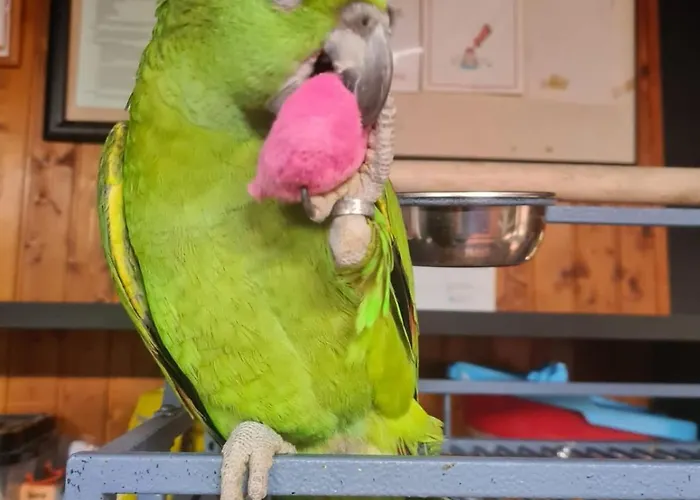 Rural Ria De Arosa 2