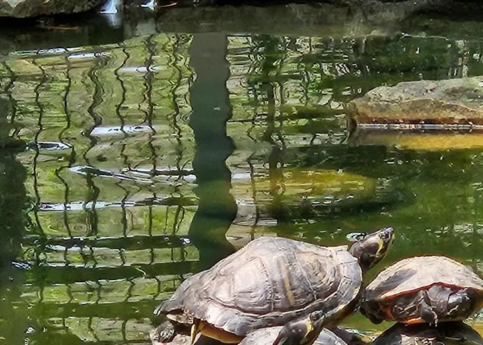 Rural Ria De Arosa 2 2*