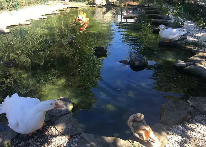 Rural Ria De Arosa 2 Ribeira